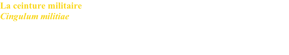 La ceinture militaire Cingulum militiae  La ceinture militaire est non seulement l’accessoire indispensable pour supporter les armes de poing, mais elle est bien plus encore.