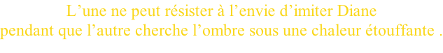 L’une ne peut résister à l’envie d’imiter Diane   pendant que l’autre cherche l’ombre sous une chaleur étouffante .