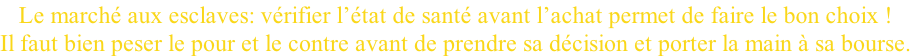 Le marché aux esclaves: vérifier l’état de santé avant l’achat permet de faire le bon choix !  Il faut bien peser le pour et le contre avant de prendre sa décision et porter la main à sa bourse.