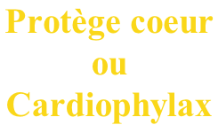 Protège coeur  ou  Cardiophylax