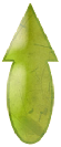 #rosmarinus