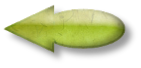 herboristerie romaine