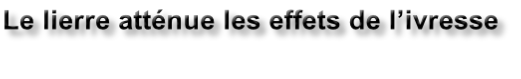 Le lierre atténue les effets de l’ivresse