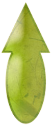 #plantehaut