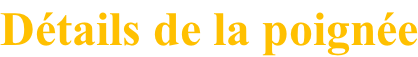Détails de la poignée