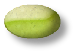 herboristerie romaine