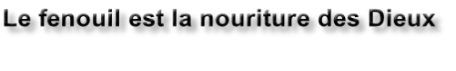 Le fenouil est la nouriture des Dieux