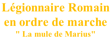 Légionnaire Romain  en ordre de marche " La mule de Marius"